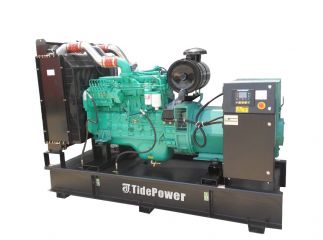 Дизельный генератор Tide Power EB250-C4 в контейнере